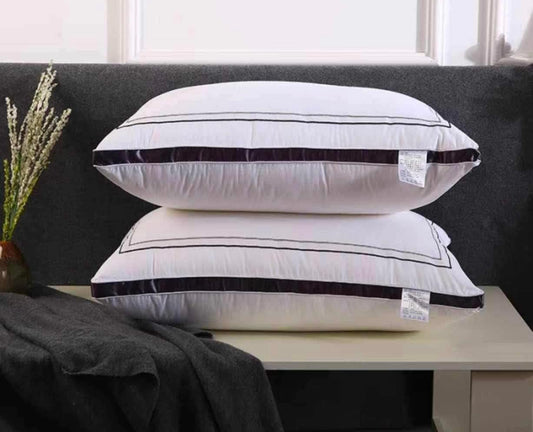 Pillows 20x30 1000grams Buy 1 Take 1