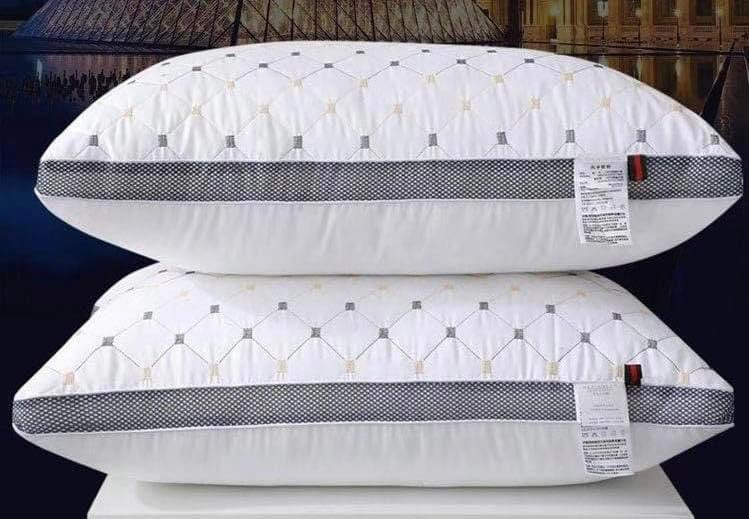 Pillows 20x30 1000grams Buy 1 Take 1